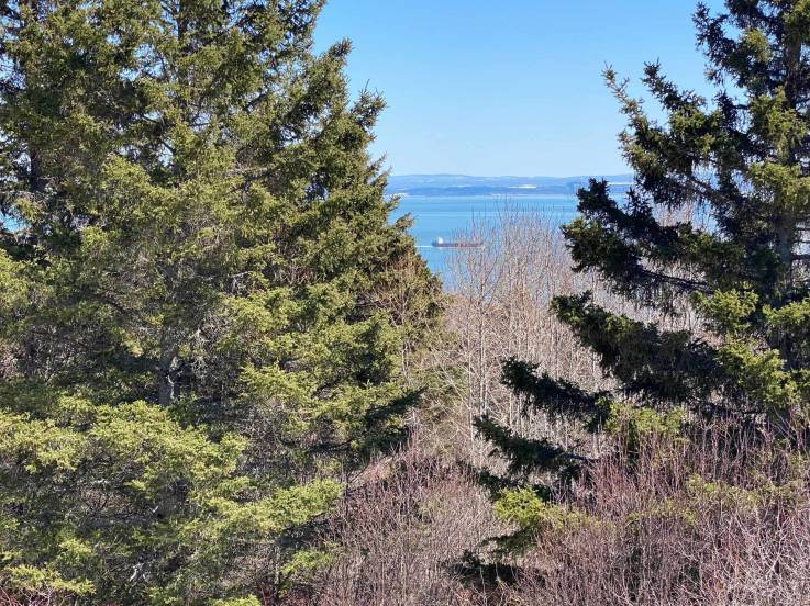 Lot and land for sale - La Malbaie, Charlevoix (MB381)