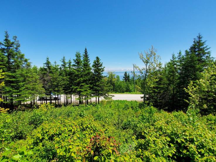 Lot and land for sale - Les Éboulements, Charlevoix (EB248)