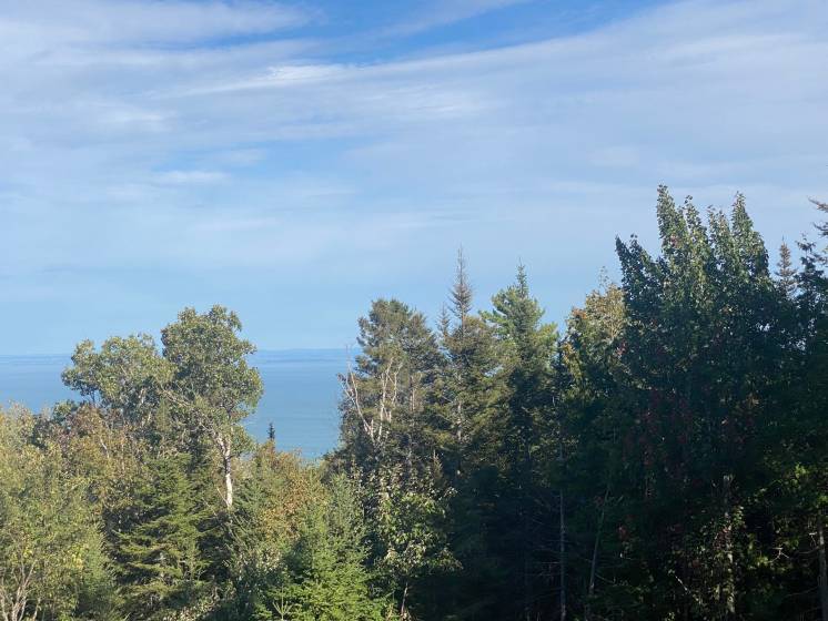 34 - House for sale, Saint-Irénée (Code - si178, Charlevoix)