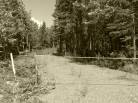 1 - Terrain et terre à vendre, Petite-Rivière-Saint-François (Code - pr858, Charlevoix)