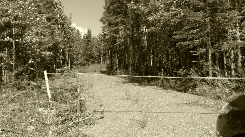 1 - Terrain et terre à vendre, Petite-Rivière-Saint-François (Code - pr858, Charlevoix)