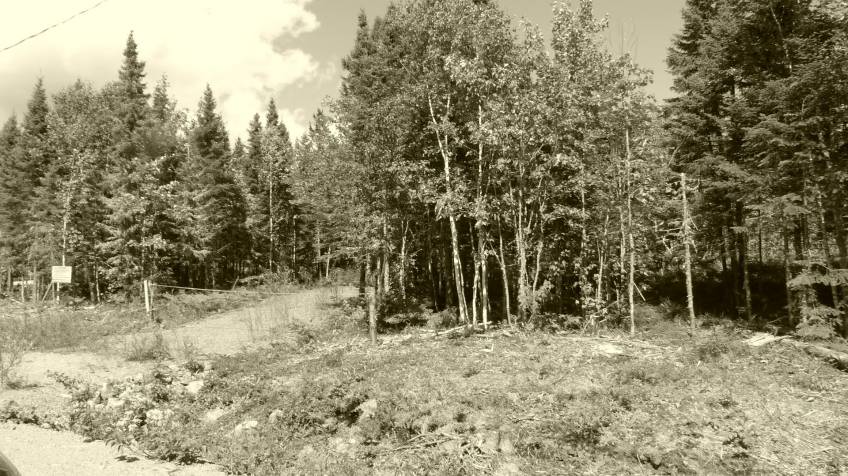 2 - Terrain et terre à vendre, Petite-Rivière-Saint-François (Code - pr858, Charlevoix)