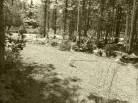 3 - Terrain et terre à vendre, Petite-Rivière-Saint-François (Code - pr858, Charlevoix)