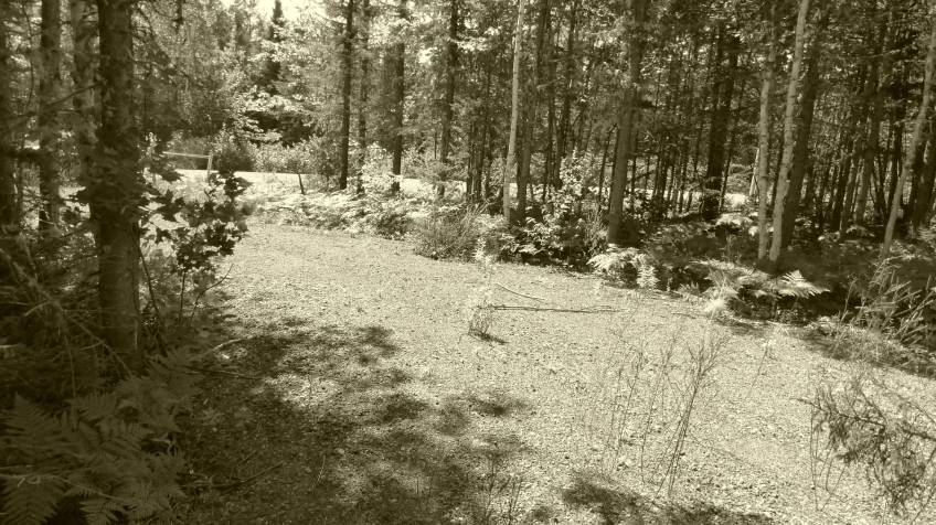 3 - Terrain et terre à vendre, Petite-Rivière-Saint-François (Code - pr858, Charlevoix)