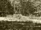5 - Terrain et terre à vendre, Petite-Rivière-Saint-François (Code - pr858, Charlevoix)