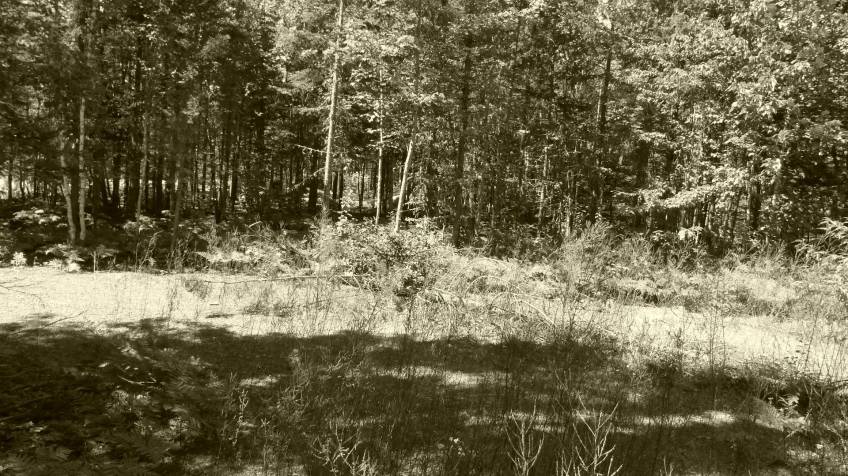 5 - Terrain et terre à vendre, Petite-Rivière-Saint-François (Code - pr858, Charlevoix)