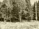 6 - Terrain et terre à vendre, Petite-Rivière-Saint-François (Code - pr858, Charlevoix)