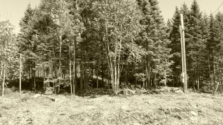 6 - Terrain et terre à vendre, Petite-Rivière-Saint-François (Code - pr858, Charlevoix)