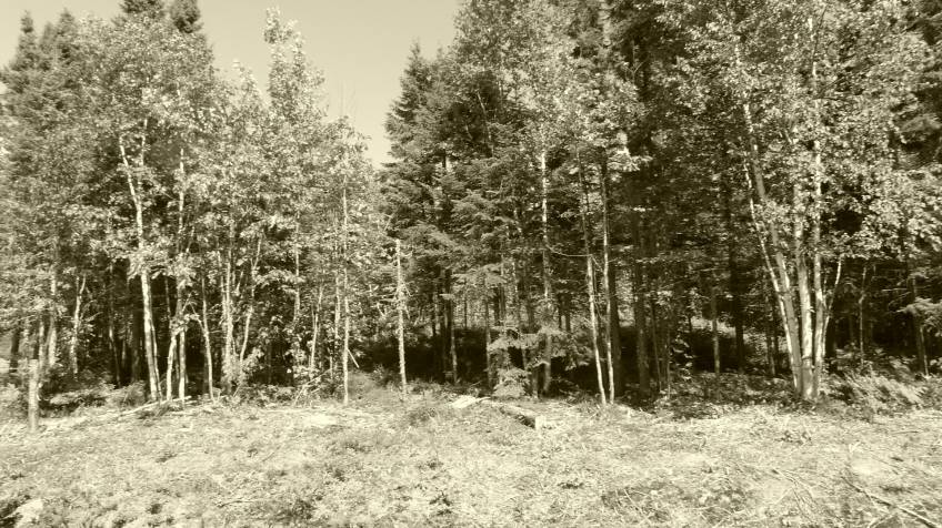 7 - Terrain et terre à vendre, Petite-Rivière-Saint-François (Code - pr858, Charlevoix)