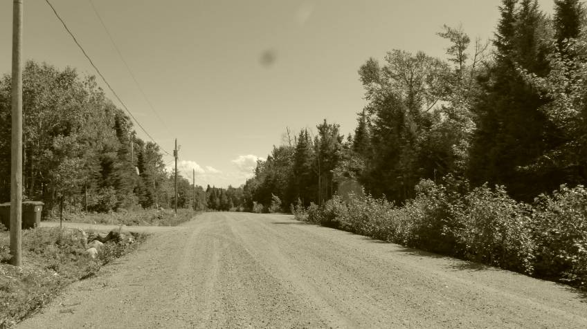 9 - Terrain et terre à vendre, Petite-Rivière-Saint-François (Code - pr858, Charlevoix)