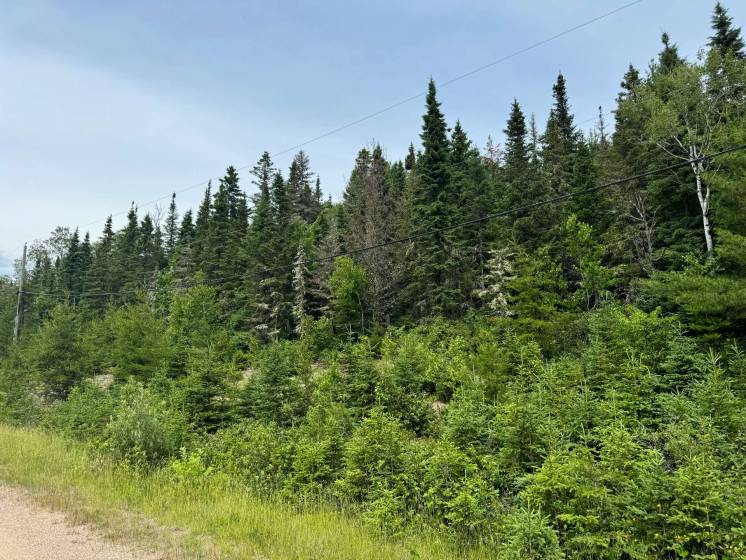 1 - Terrain et terre à vendre, Les Éboulements (Code - eb293, Charlevoix)