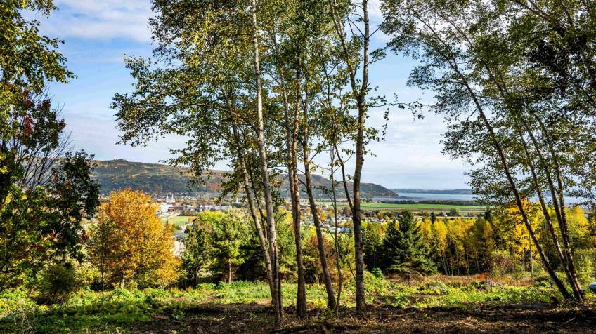 2 - Terrain et terre à vendre, Baie-Saint-Paul (Code - sp917, Charlevoix)