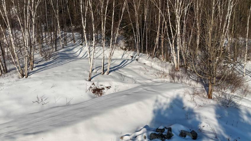 3 - Terrain et terre à vendre, Baie-Saint-Paul (Code - sp917, Charlevoix)