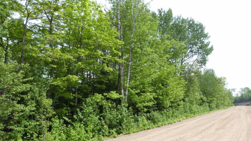3 - Terrain et terre à vendre, Petite-Rivière-Saint-François (Code - pr812, Charlevoix)