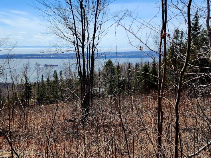 Lot and land for sale - Les Éboulements, Charlevoix (EB264)