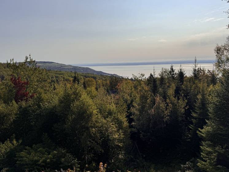 25 - House for sale, Les Éboulements (Code - eb315, Charlevoix)