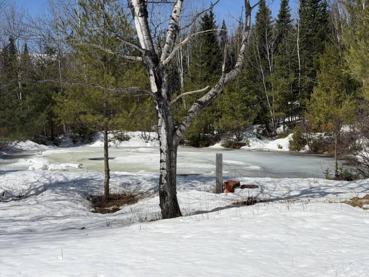 14 - Terrain et terre à vendre, Baie-Saint-Paul (Code - sp924, Charlevoix)