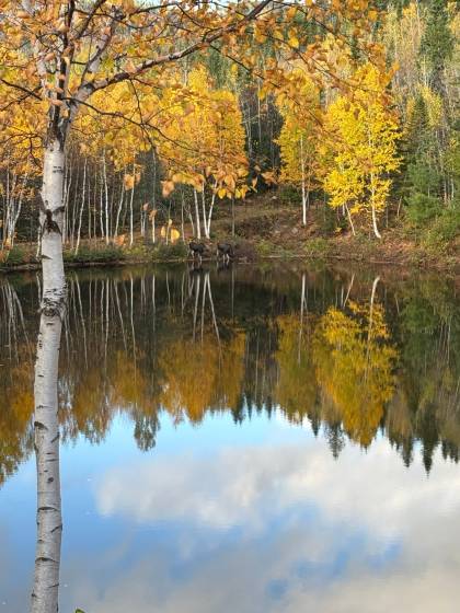 9 - Terrain et terre à vendre, Baie-Saint-Paul (Code - sp924, Charlevoix)