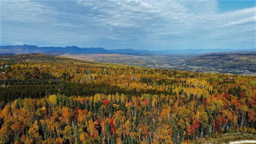 27 - House for sale, Saint-Urbain (Code - su081, Charlevoix)