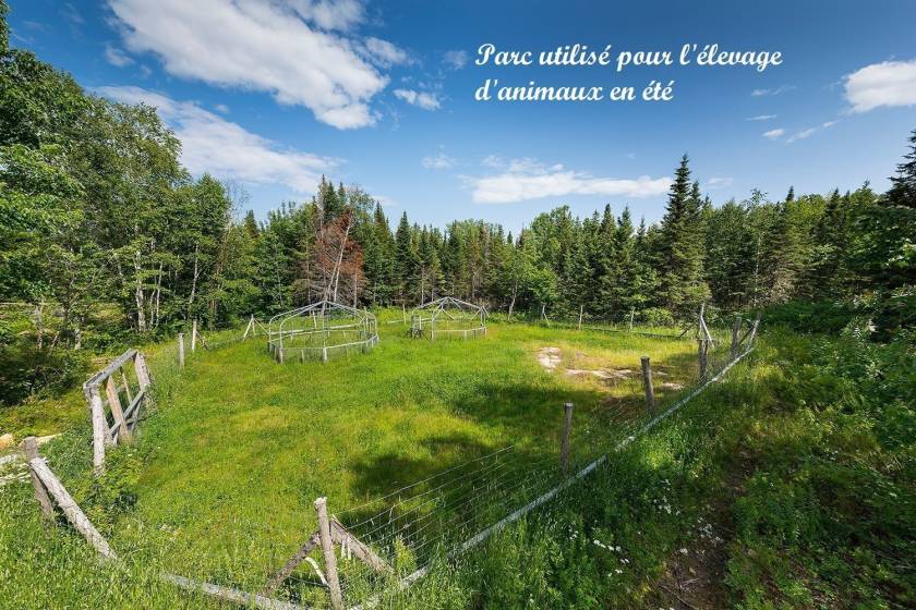 31 - House for sale, Saint-Urbain (Code - su081, Charlevoix)