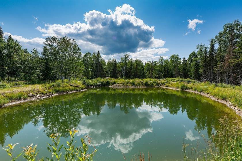 31 - House for sale, Saint-Urbain (Code - su081, Charlevoix)