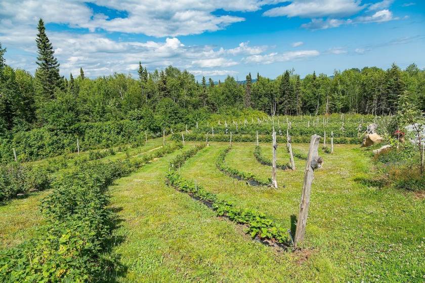 35 - House for sale, Saint-Urbain (Code - su081, Charlevoix)