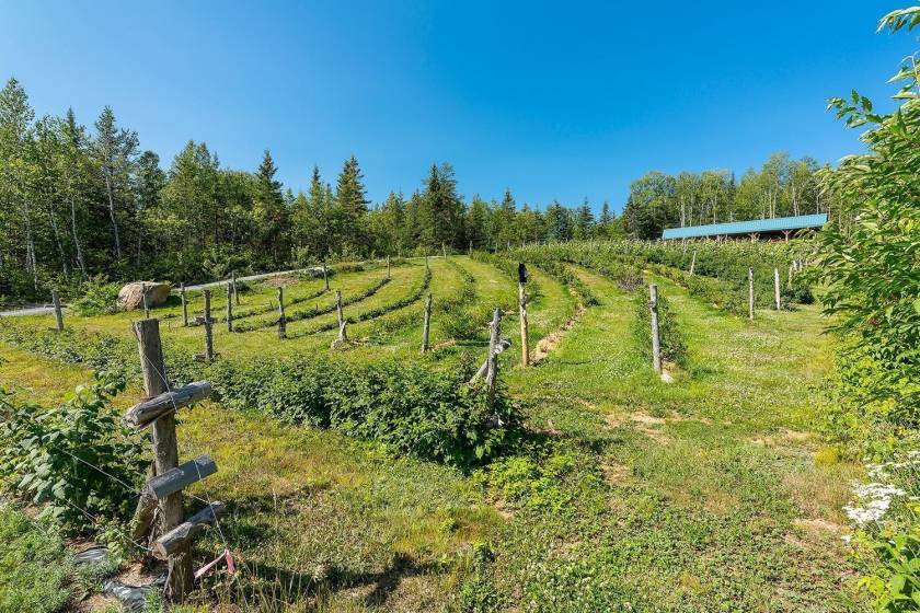 36 - House for sale, Saint-Urbain (Code - su081, Charlevoix)