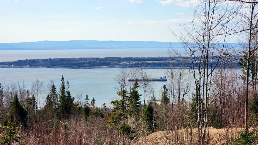 1 - Lot and land for sale, Les Éboulements (Code - eb335, Charlevoix)