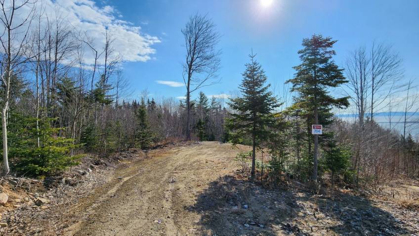 4 - Lot and land for sale, Les Éboulements (Code - eb335, Charlevoix)