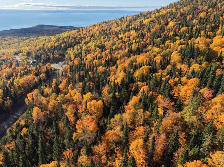 Lot and land for sale - Petite-Rivière-Saint-François, Charlevoix (PR868)