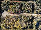 8 - Lot and land for sale, La Malbaie (Code - mb418, Charlevoix)