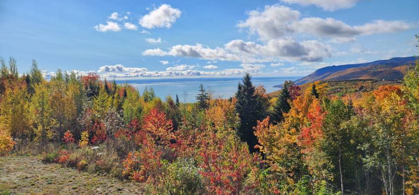 30 - Condo à vendre, Petite-Rivière-Saint-François (Code - pr786, Charlevoix)