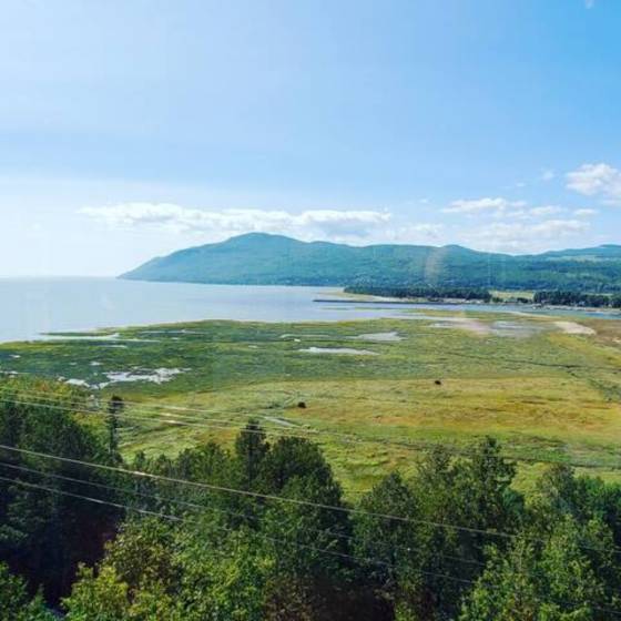 44 - Maison à vendre, Baie-Saint-Paul (Code - sp904, Charlevoix)