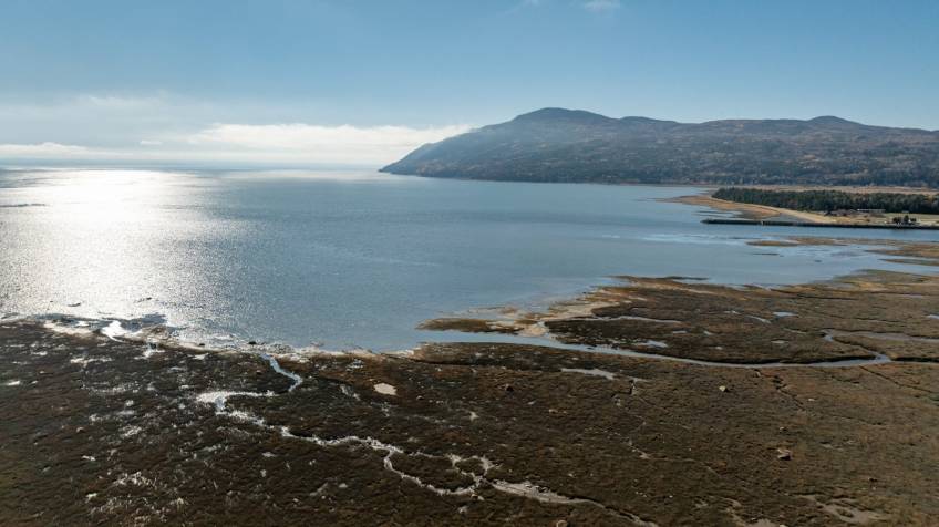 45 - Maison à vendre, Baie-Saint-Paul (Code - sp904, Charlevoix)