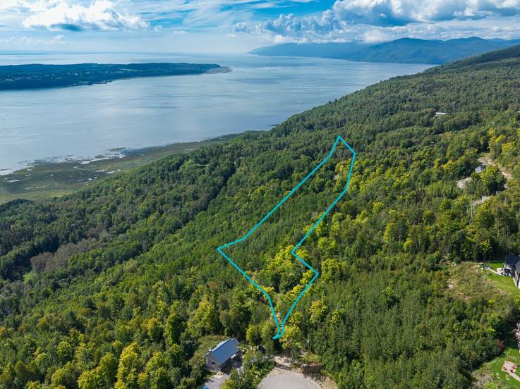 Terrain et terre à vendre - Les Éboulements, Charlevoix (EB334)