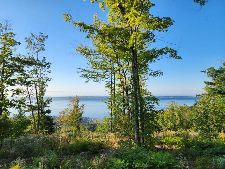 5 - Lot and land for sale, Les Éboulements (Code - eb334, Charlevoix)