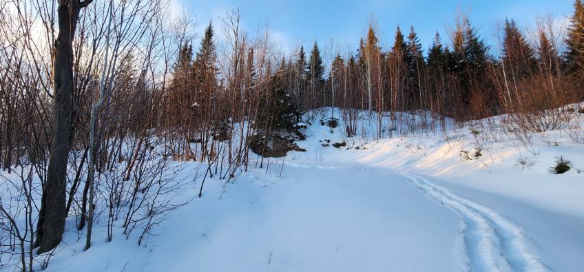 7 - Terrain et terre à vendre, Les Éboulements (Code - eb321, Charlevoix)