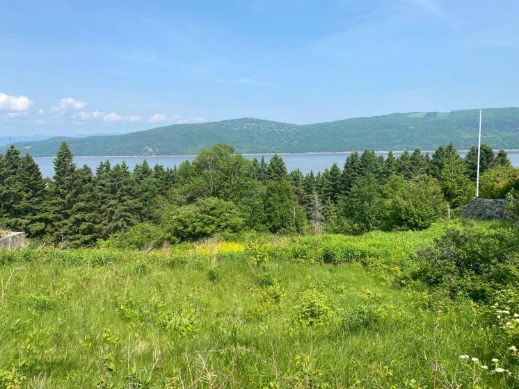 3 - Terrain et terre à vendre, L'Isle-aux-Coudres (Code - ic042, Charlevoix)