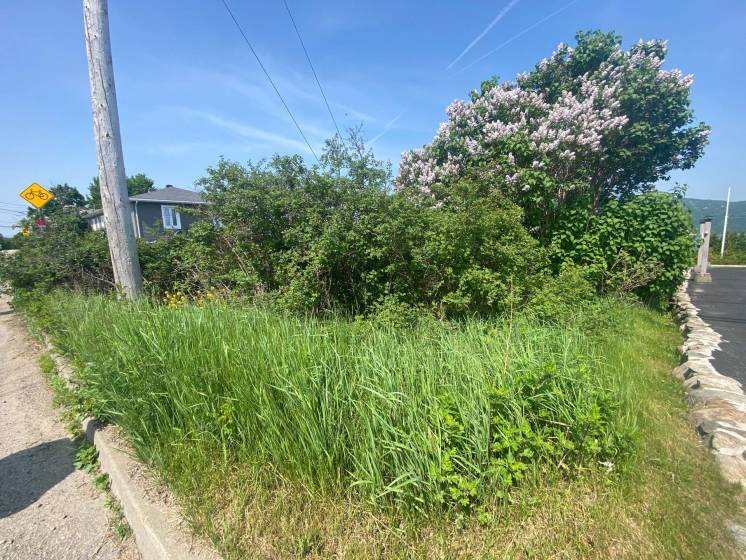 5 - Terrain et terre à vendre, L'Isle-aux-Coudres (Code - ic042, Charlevoix)