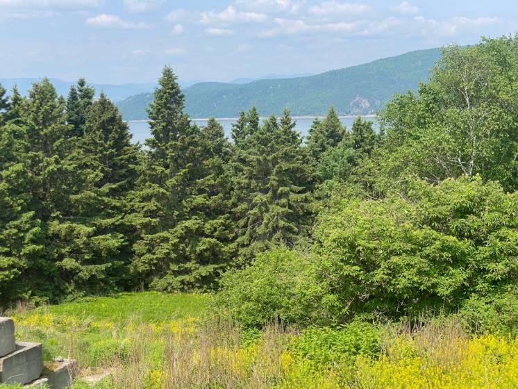 6 - Terrain et terre à vendre, L'Isle-aux-Coudres (Code - ic042, Charlevoix)