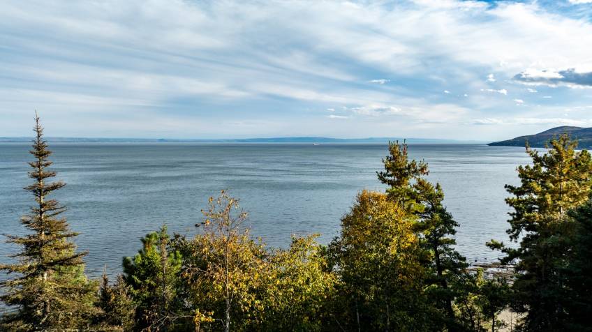 1 - Terrain et terre à vendre, Saint-Irénée (Code - si181, Charlevoix)