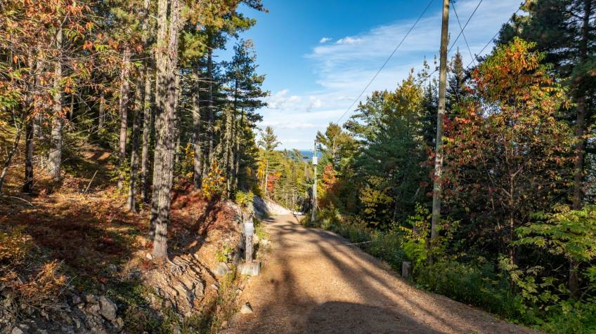 2 - Terrain et terre à vendre, Saint-Irénée (Code - si181, Charlevoix)