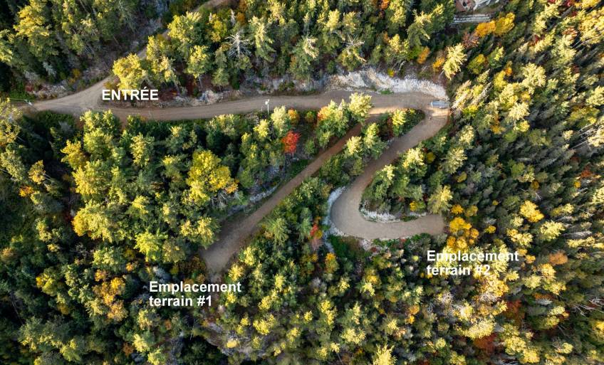 4 - Terrain et terre à vendre, Saint-Irénée (Code - si181, Charlevoix)