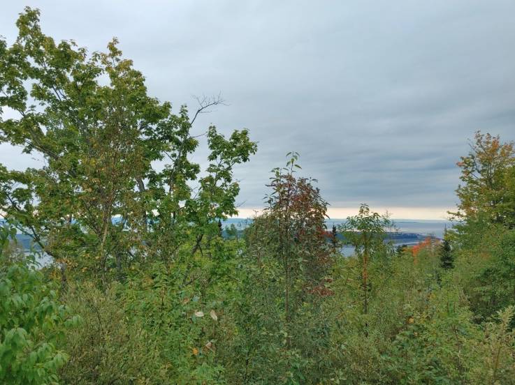 Lot and land for sale - Les Éboulements, Charlevoix (EB230)
