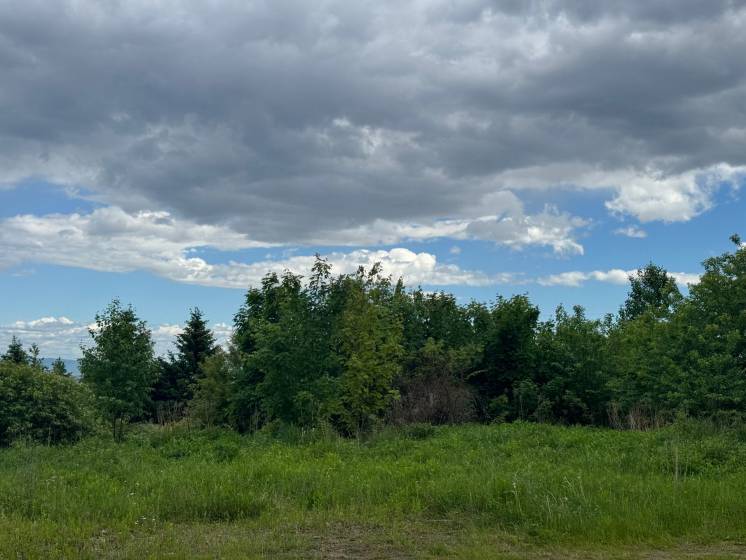 4 - Terrain et terre à vendre, Petite-Rivière-Saint-François (Code - pr857, Charlevoix)