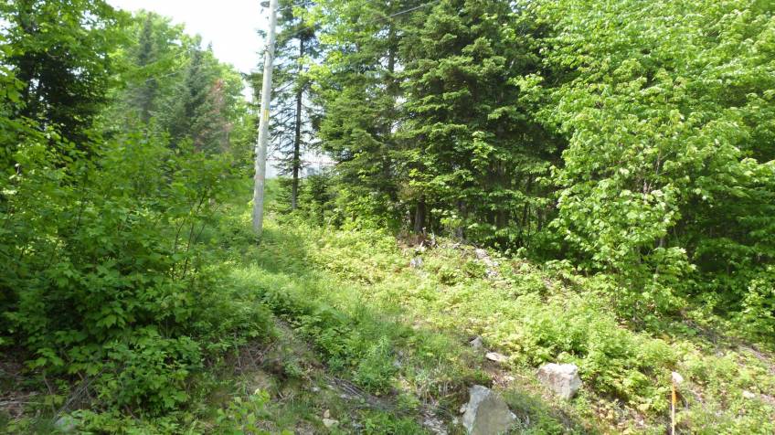 8 - Terrain et terre à vendre, Petite-Rivière-Saint-François (Code - pr815, Charlevoix)