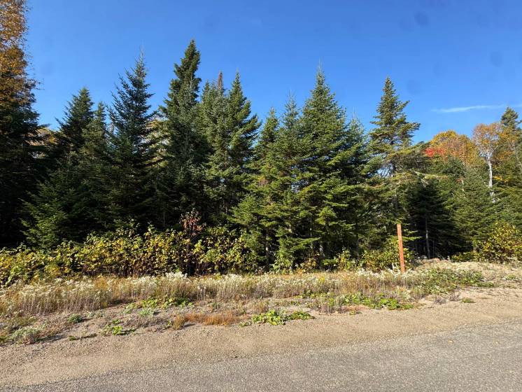 3 - Lot and land for sale, Baie-Saint-Paul (Code - sp901, Charlevoix)