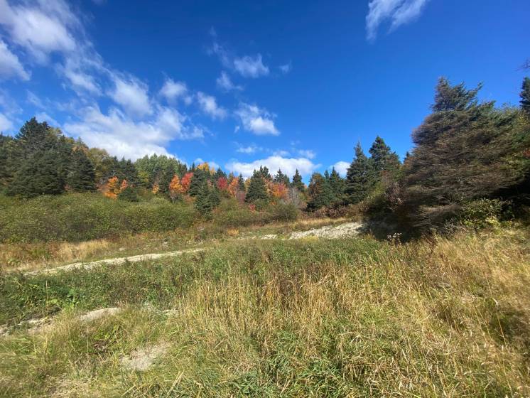 1 - Lot and land for sale, Saint-Siméon (Code - ss072, Charlevoix)