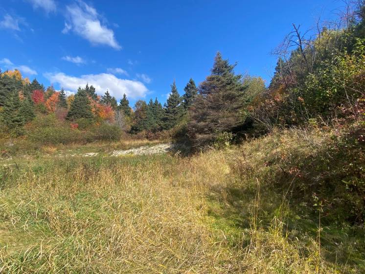 3 - Lot and land for sale, Saint-Siméon (Code - ss072, Charlevoix)
