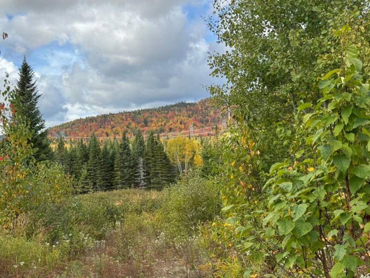 2 - Terrain et terre à vendre, Petite-Rivière-Saint-François (Code - pr828, Charlevoix)